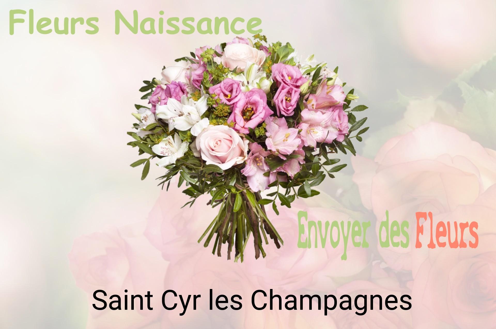 Bouquet de fleurs de naissance livré à Saint-Cyr-les-Champagnes